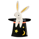 Bunny In Hat Shaped Plates (8)