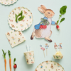 Peter Rabbit Plates (12)