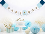 Baby Boy Banner (1)